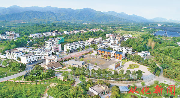 美丽的西和村（资料图片）.jpg