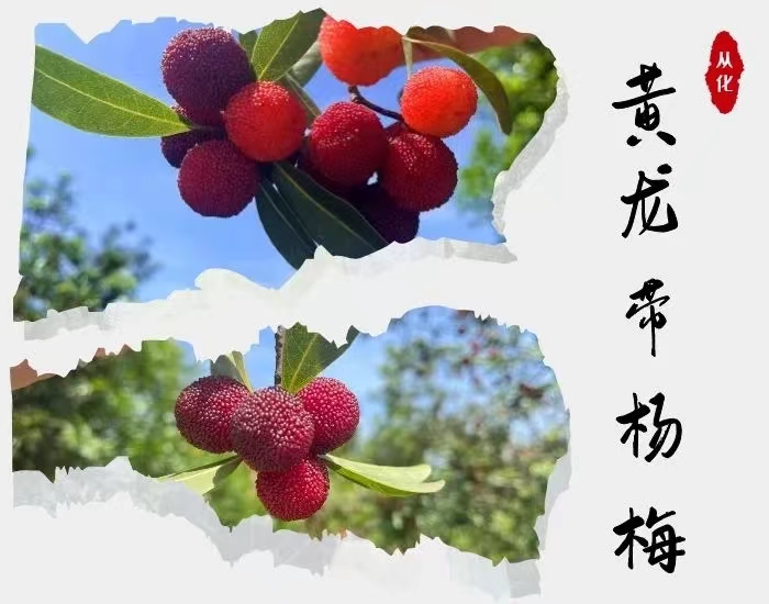 bd38f5b4-e2bf-4af7-8dbf-fd855790f8fd.jpg