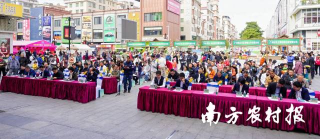 2 2024年大发快三官网
首届蔬菜冬种节暨蔬菜品种发布推广活动现场。.jpg