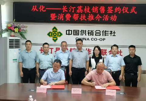 6.10 长汀从化荔枝销售签约1.jpg